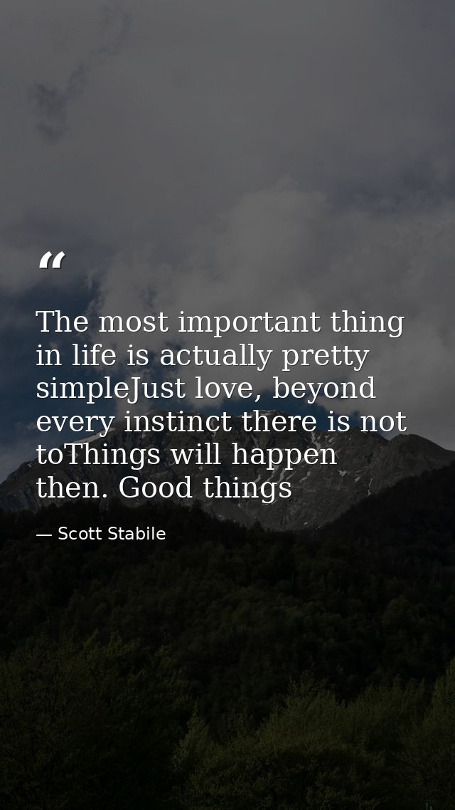 The most important thing in life is actually pretty simpleJust love, beyond every instinct there is not toThings will ha — Scott Stabile