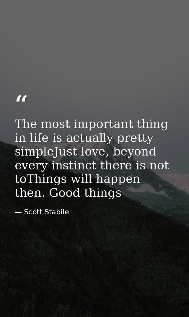 The most important thing in life is actually pretty simpleJust love, beyond every instinct there is not toThings will ha — Scott Stabile