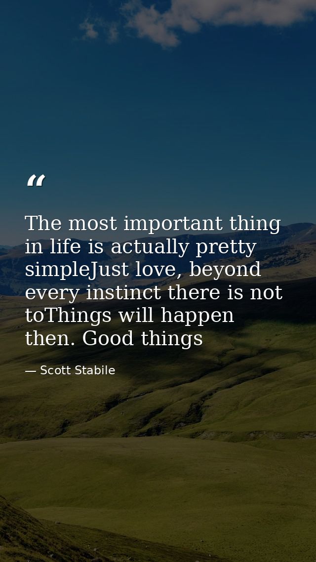 The most important thing in life is actually pretty simpleJust love, beyond every instinct there is not toThings will ha — Scott Stabile