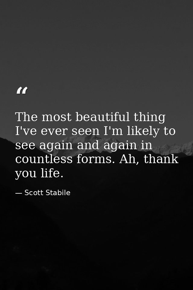 The most beautiful thing I've ever seen I'm likely to see again and again in countless forms. Ah, thank you life. — Scott Stabile