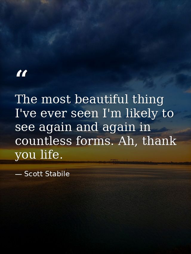 The most beautiful thing I've ever seen I'm likely to see again and again in countless forms. Ah, thank you life. — Scott Stabile