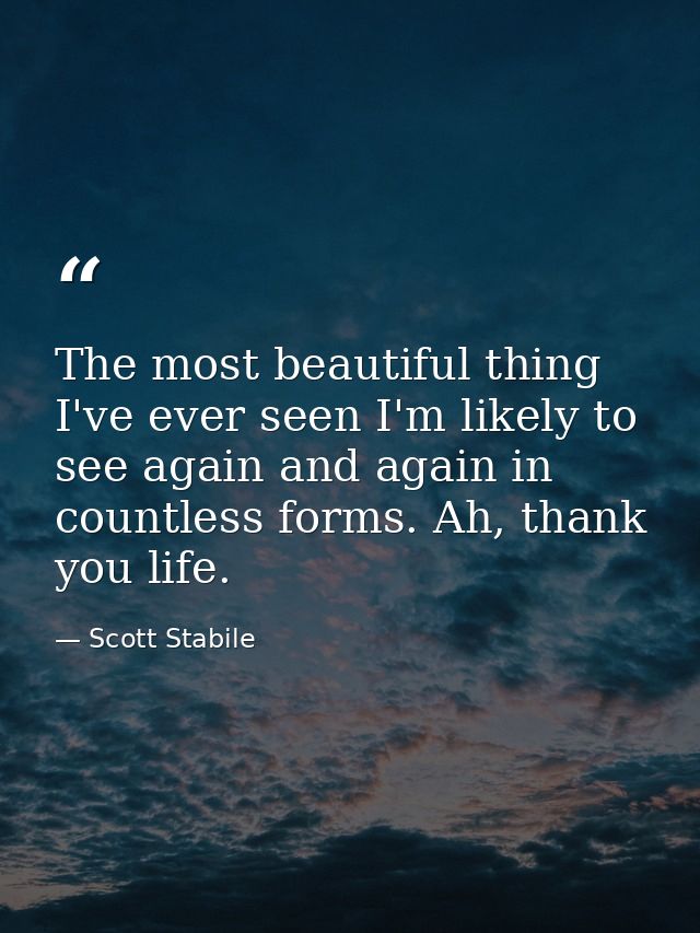 The most beautiful thing I've ever seen I'm likely to see again and again in countless forms. Ah, thank you life. — Scott Stabile