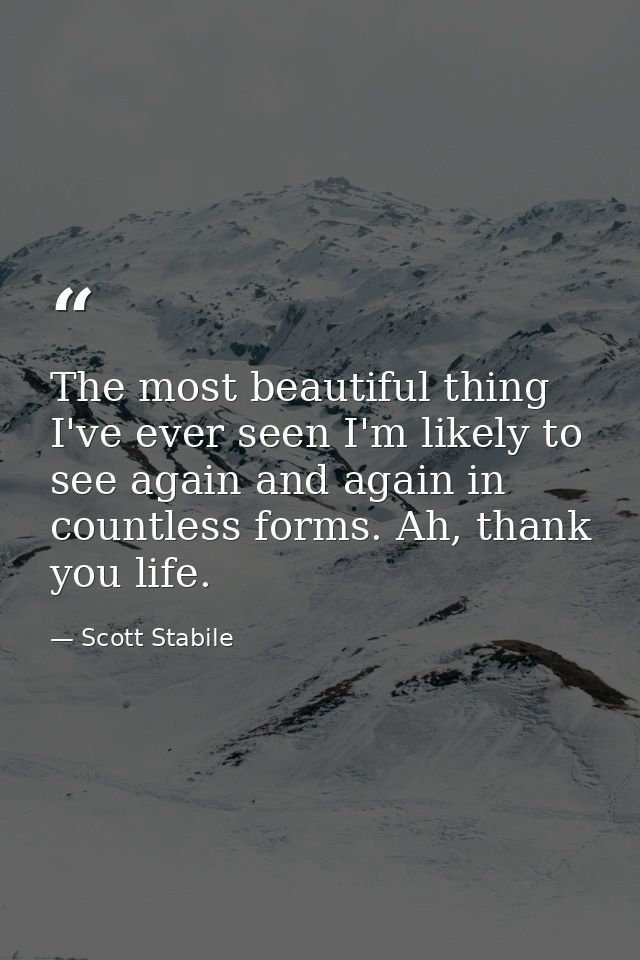 The most beautiful thing I've ever seen I'm likely to see again and again in countless forms. Ah, thank you life. — Scott Stabile