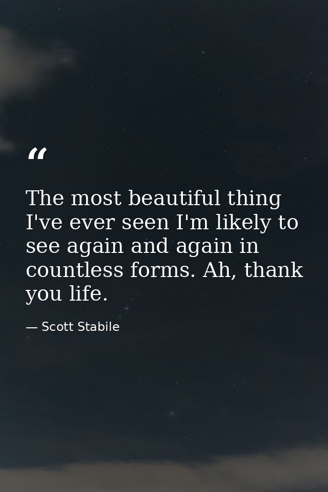 The most beautiful thing I've ever seen I'm likely to see again and again in countless forms. Ah, thank you life. — Scott Stabile