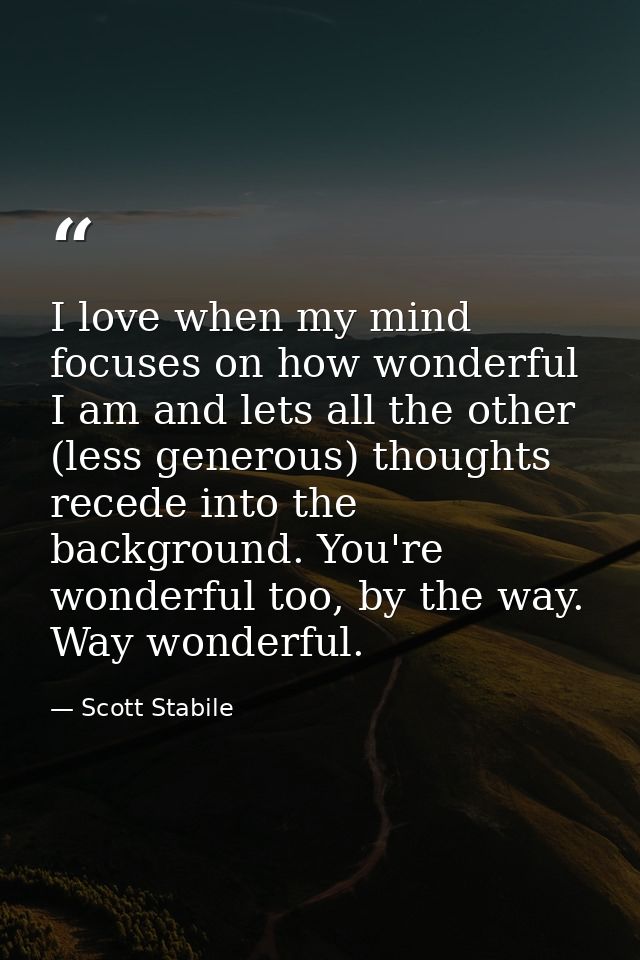 I love when my mind focuses on how wonderful I am and lets all the other (less generous) thoughts recede into the backgr — Scott Stabile