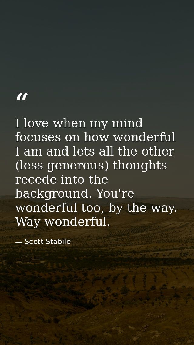 I love when my mind focuses on how wonderful I am and lets all the other (less generous) thoughts recede into the backgr — Scott Stabile