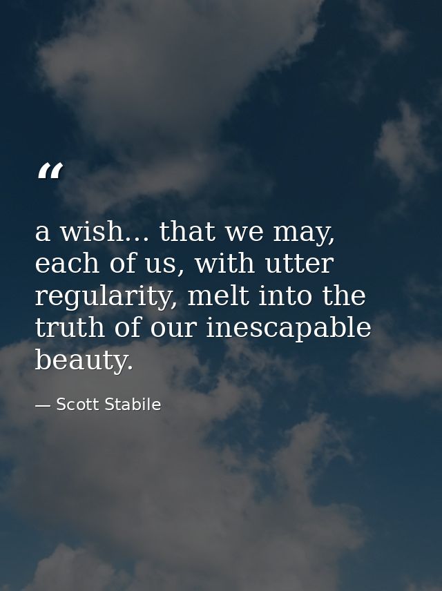a wish... that we may, each of us, with utter regularity, melt into the truth of our inescapable beauty. — Scott Stabile