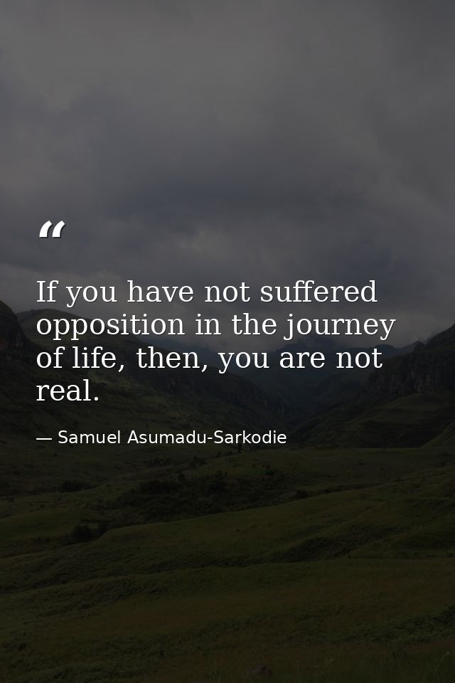 If you have not suffered opposition in the journey of life, then, you are not real. — Samuel Asumadu-Sarkodie