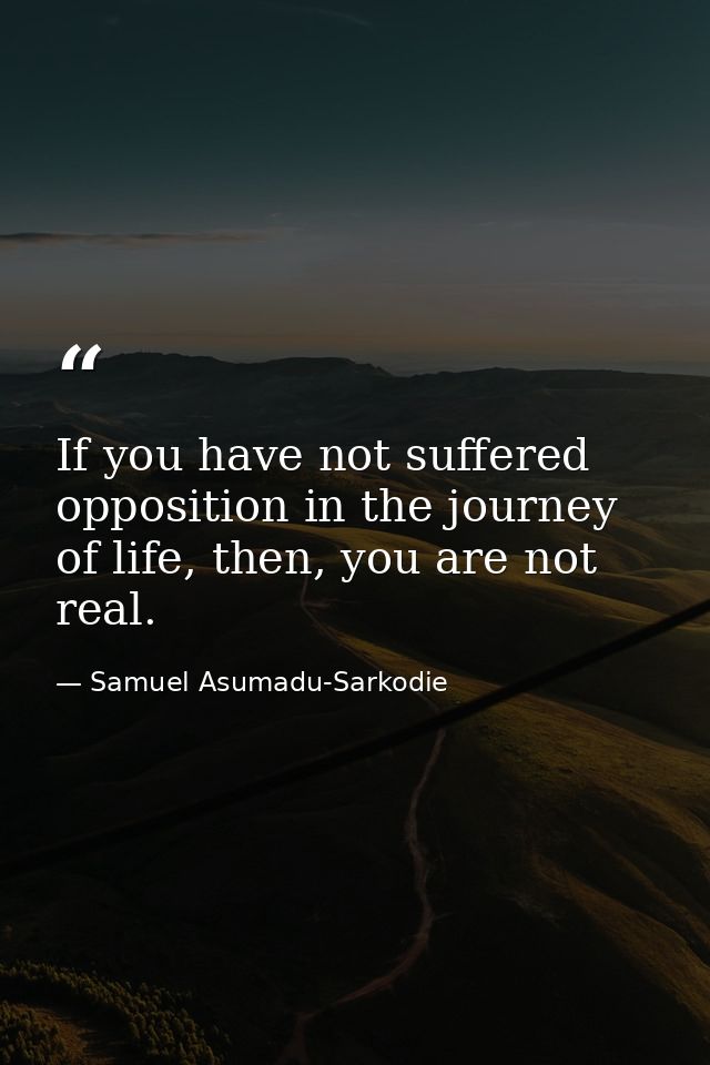 If you have not suffered opposition in the journey of life, then, you are not real. — Samuel Asumadu-Sarkodie