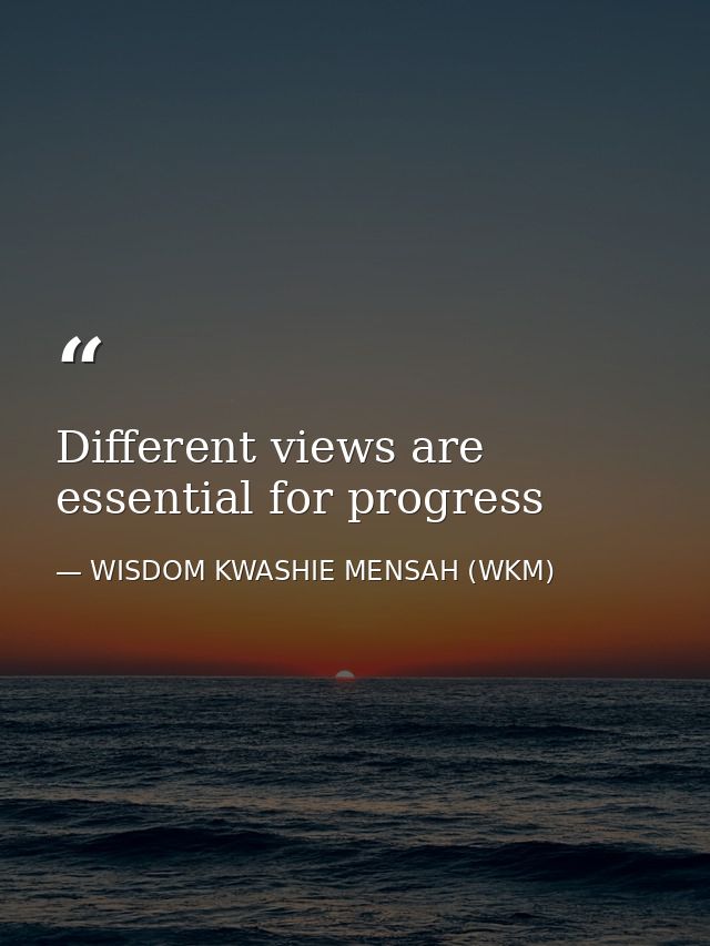Different views are essential for progress — WISDOM KWASHIE MENSAH (WKM)
