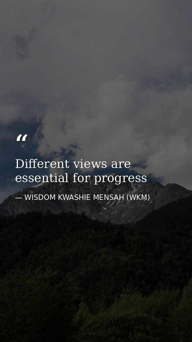 Different views are essential for progress — WISDOM KWASHIE MENSAH (WKM)