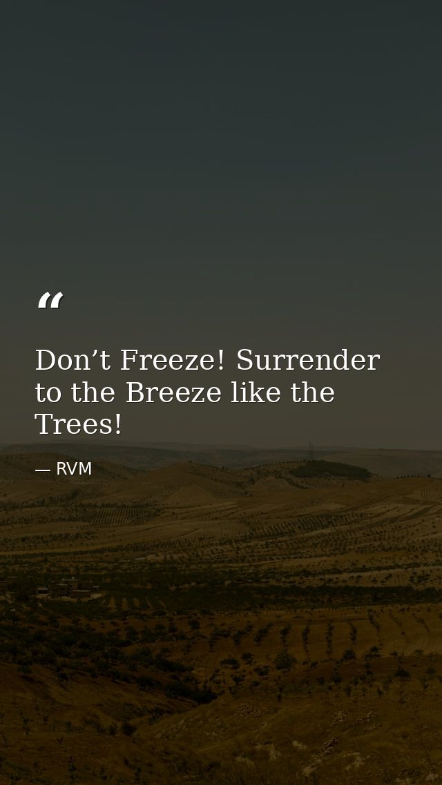 Don’t Freeze! Surrender to the Breeze like the Trees! — RVM