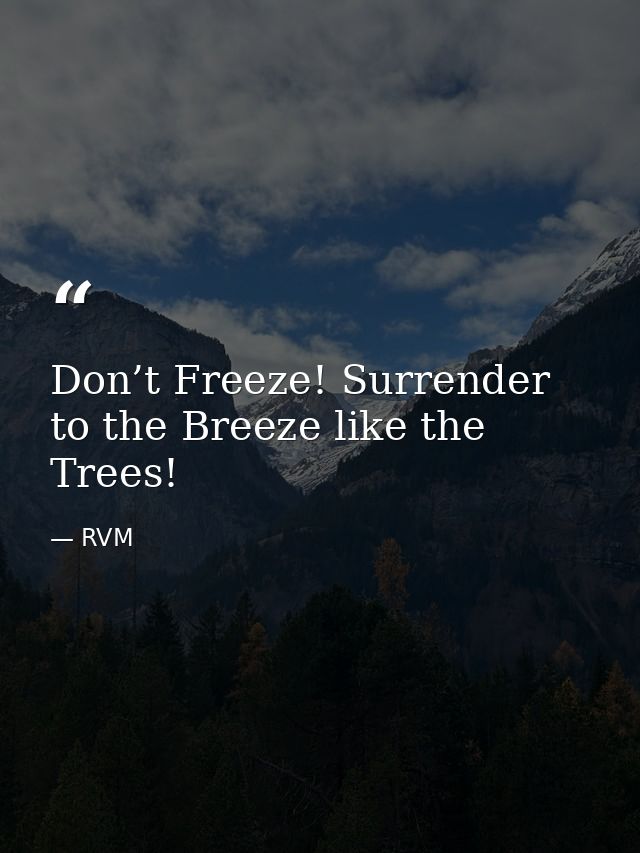 Don’t Freeze! Surrender to the Breeze like the Trees! — RVM