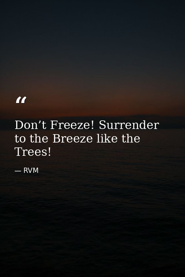 Don’t Freeze! Surrender to the Breeze like the Trees! — RVM