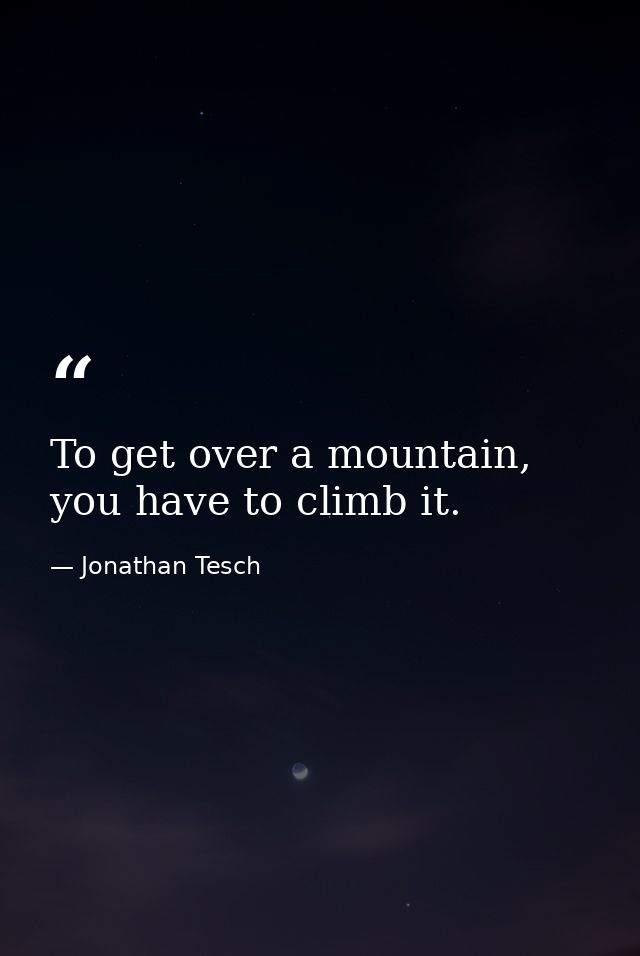 To get over a mountain, you have to climb it. — Jonathan Tesch