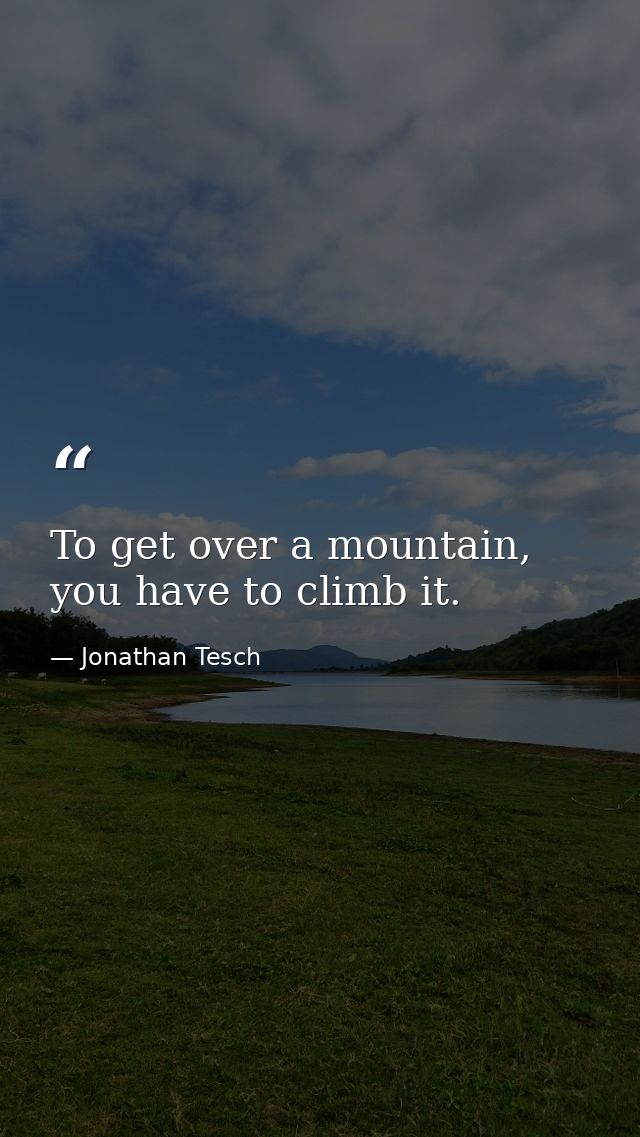 To get over a mountain, you have to climb it. — Jonathan Tesch