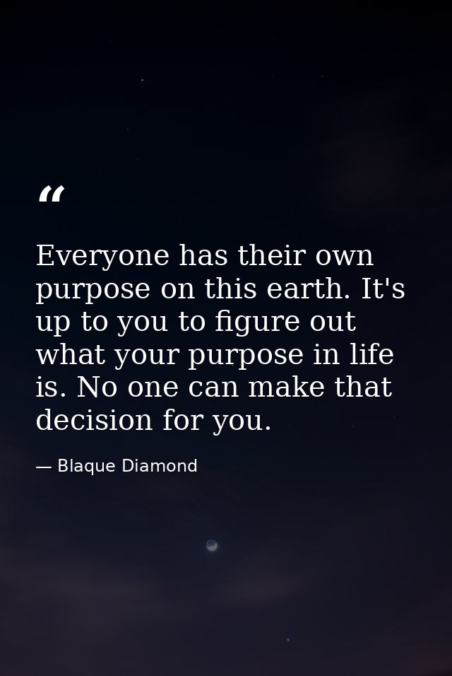 Everyone has their own purpose on this earth. It's up to you to figure out what your purpose in life is. No one can make — Blaque Diamond