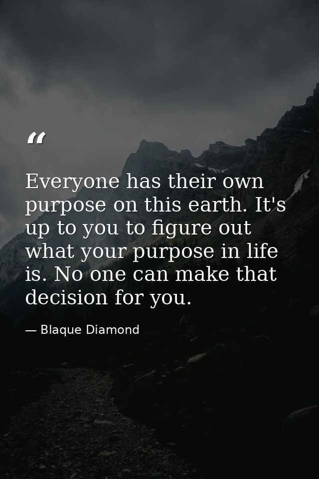 Everyone has their own purpose on this earth. It's up to you to figure out what your purpose in life is. No one can make — Blaque Diamond