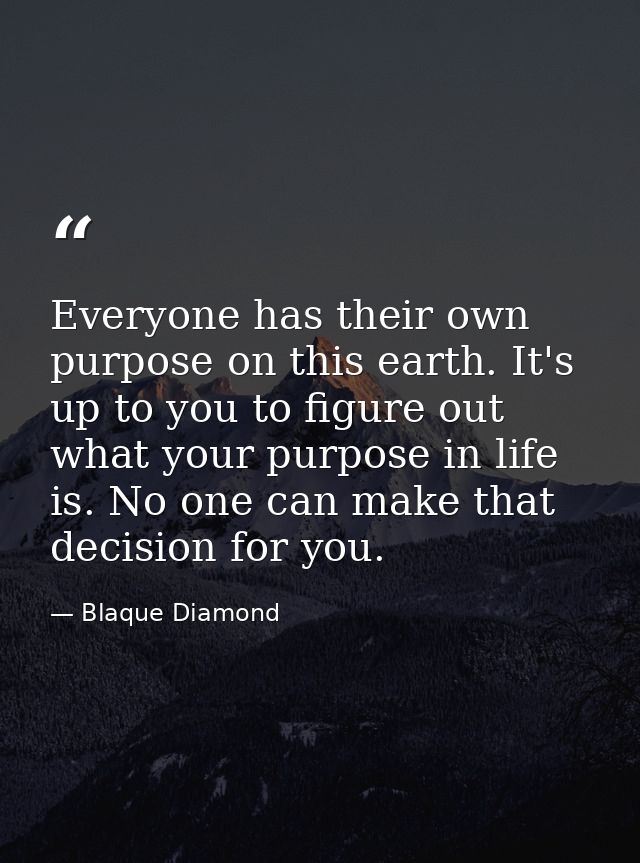 Everyone has their own purpose on this earth. It's up to you to figure out what your purpose in life is. No one can make — Blaque Diamond