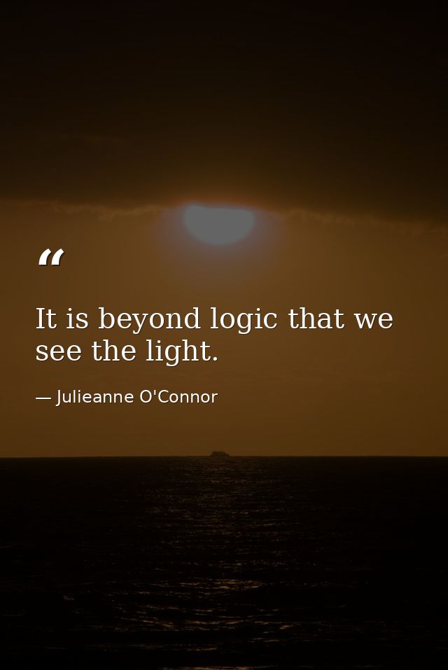 It is beyond logic that we see the light. — Julieanne O'Connor