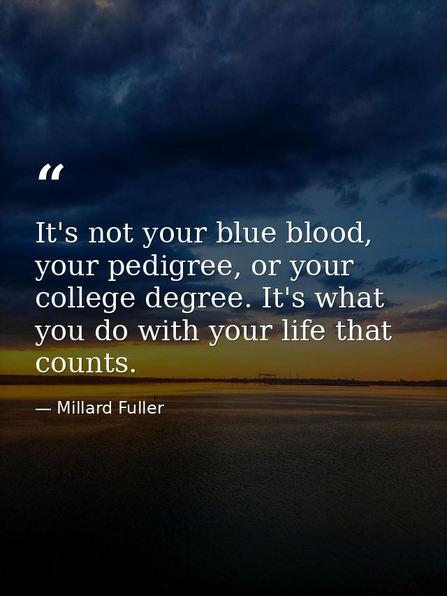 It's not your blue blood, your pedigree, or your college degree. It's what you do with your life that counts. — Millard Fuller