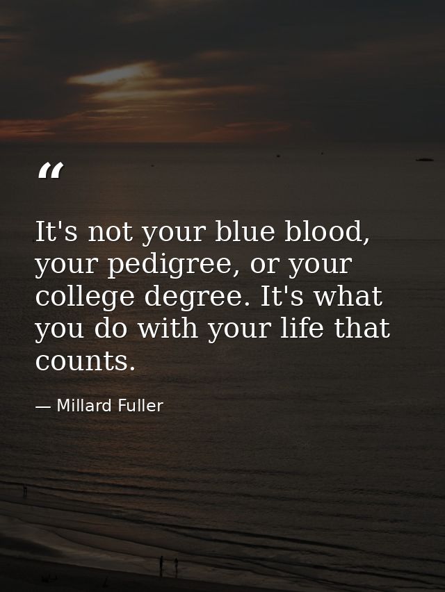 It's not your blue blood, your pedigree, or your college degree. It's what you do with your life that counts. — Millard Fuller