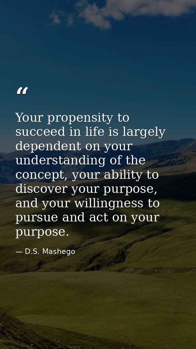 Your propensity to succeed in life is largely dependent on your understanding of the concept, your ability to discover y — D.S. Mashego