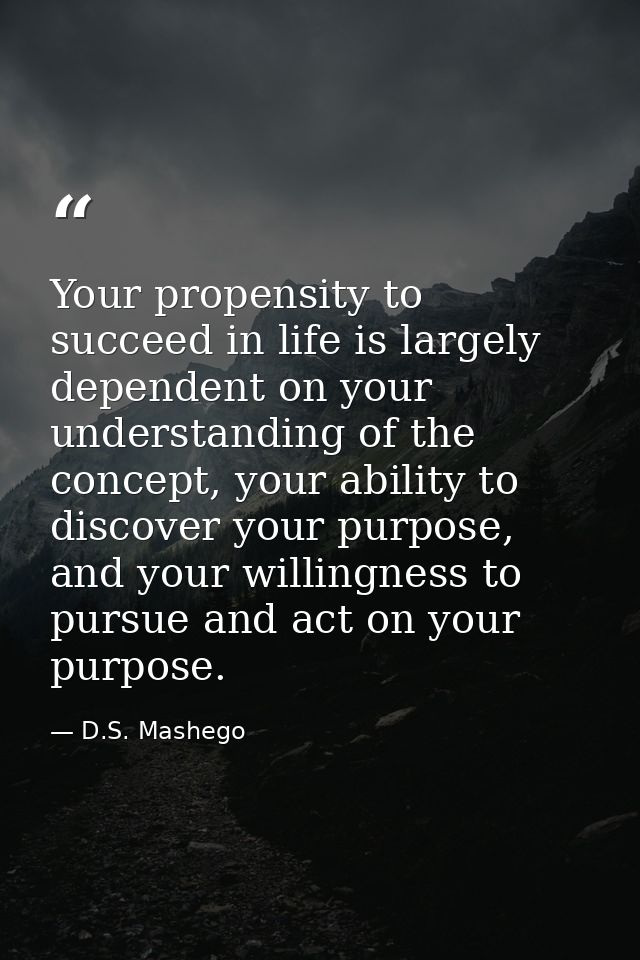 Your propensity to succeed in life is largely dependent on your understanding of the concept, your ability to discover y — D.S. Mashego