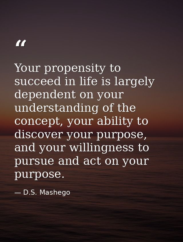Your propensity to succeed in life is largely dependent on your understanding of the concept, your ability to discover y — D.S. Mashego