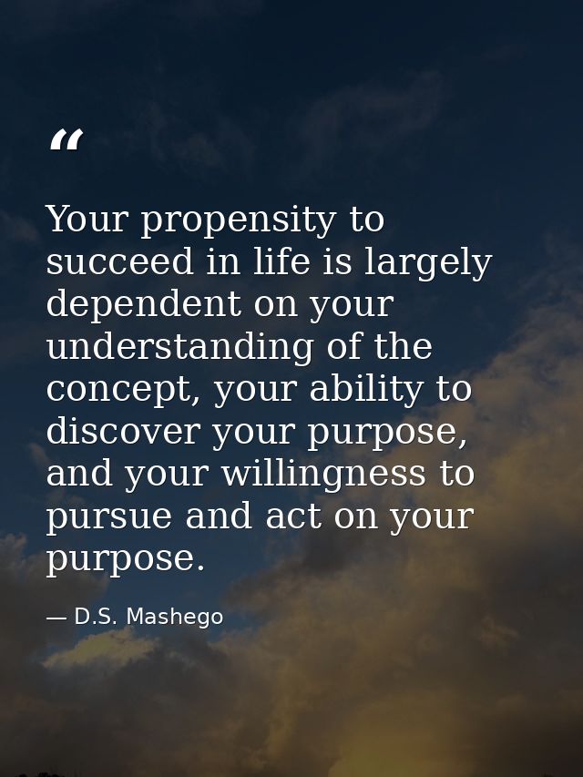 Your propensity to succeed in life is largely dependent on your understanding of the concept, your ability to discover y — D.S. Mashego