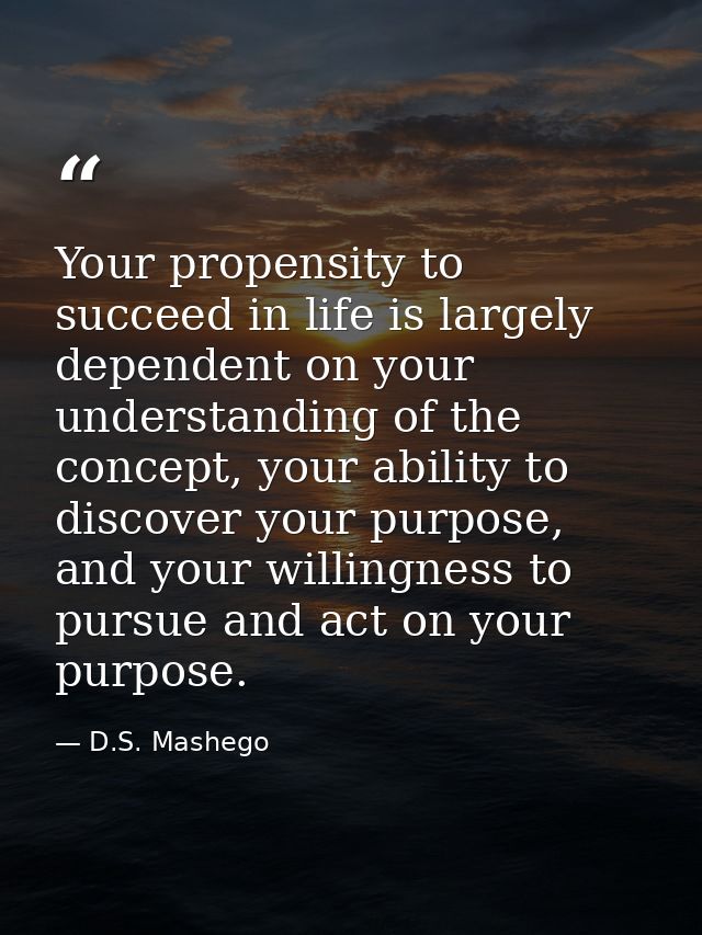 Your propensity to succeed in life is largely dependent on your understanding of the concept, your ability to discover y — D.S. Mashego