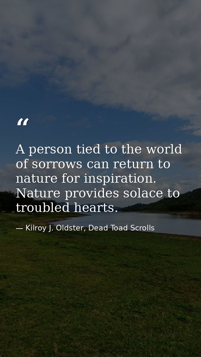 A person tied to the world of sorrows can return to nature for inspiration. Nature provides solace to troubled hearts. — Kilroy J. Oldster, Dead Toad Scrolls