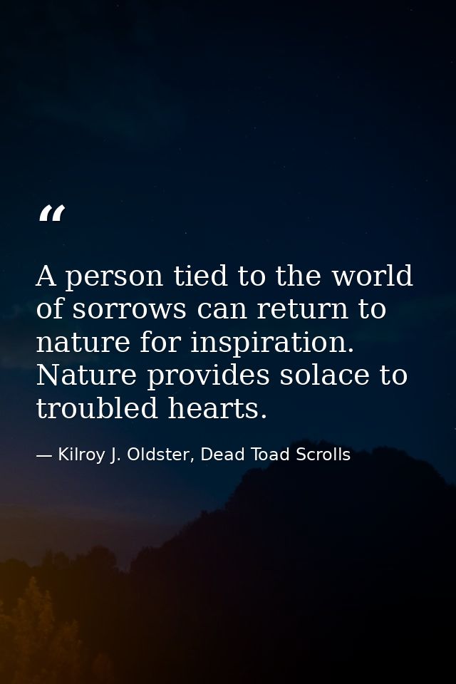 A person tied to the world of sorrows can return to nature for inspiration. Nature provides solace to troubled hearts. — Kilroy J. Oldster, Dead Toad Scrolls