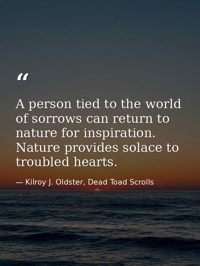 A person tied to the world of sorrows can return to nature for inspiration. Nature provides solace to troubled hearts. — Kilroy J. Oldster, Dead Toad Scrolls