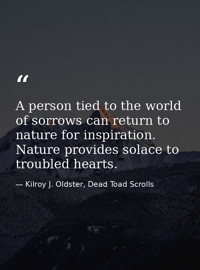 A person tied to the world of sorrows can return to nature for inspiration. Nature provides solace to troubled hearts. — Kilroy J. Oldster, Dead Toad Scrolls