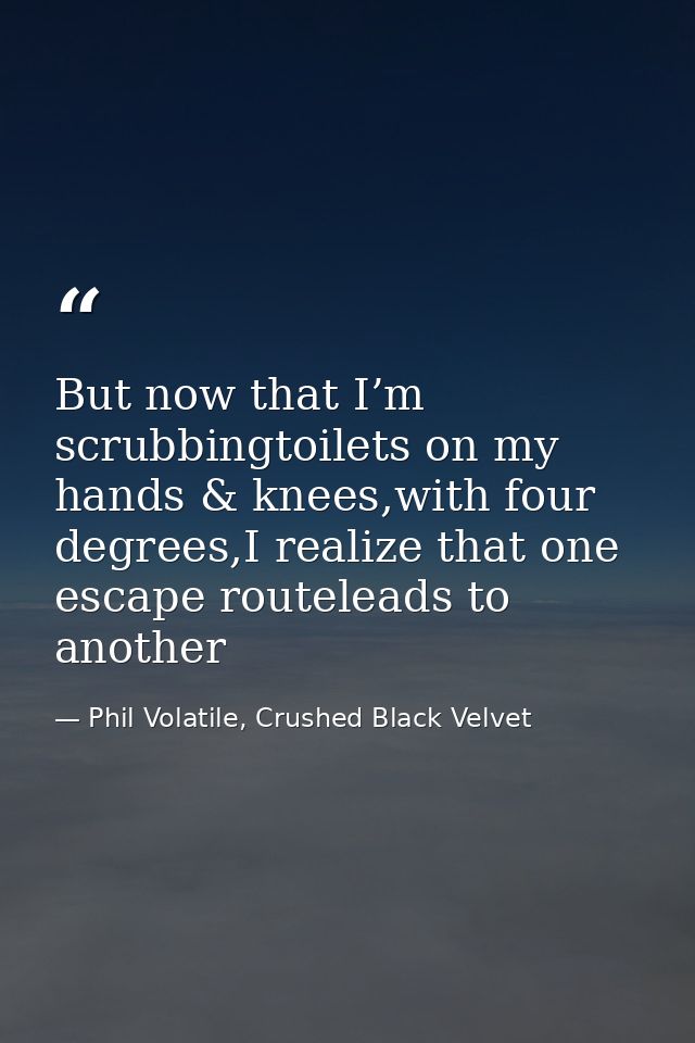 But now that I’m scrubbingtoilets on my hands & knees,with four degrees,I realize that one escape routeleads to another — Phil Volatile, Crushed Black Velvet
