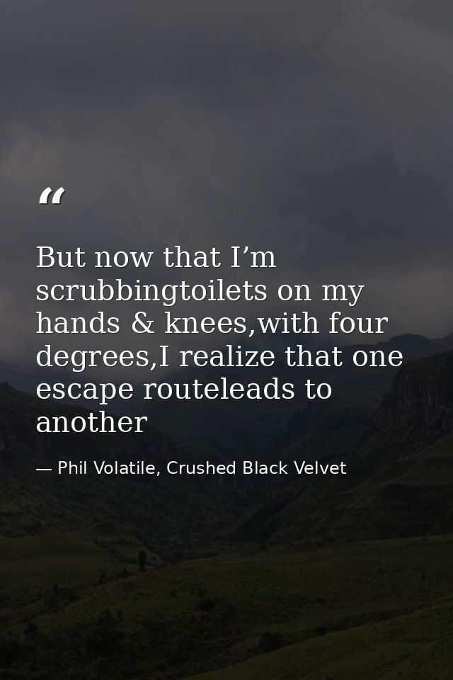 But now that I’m scrubbingtoilets on my hands & knees,with four degrees,I realize that one escape routeleads to another — Phil Volatile, Crushed Black Velvet