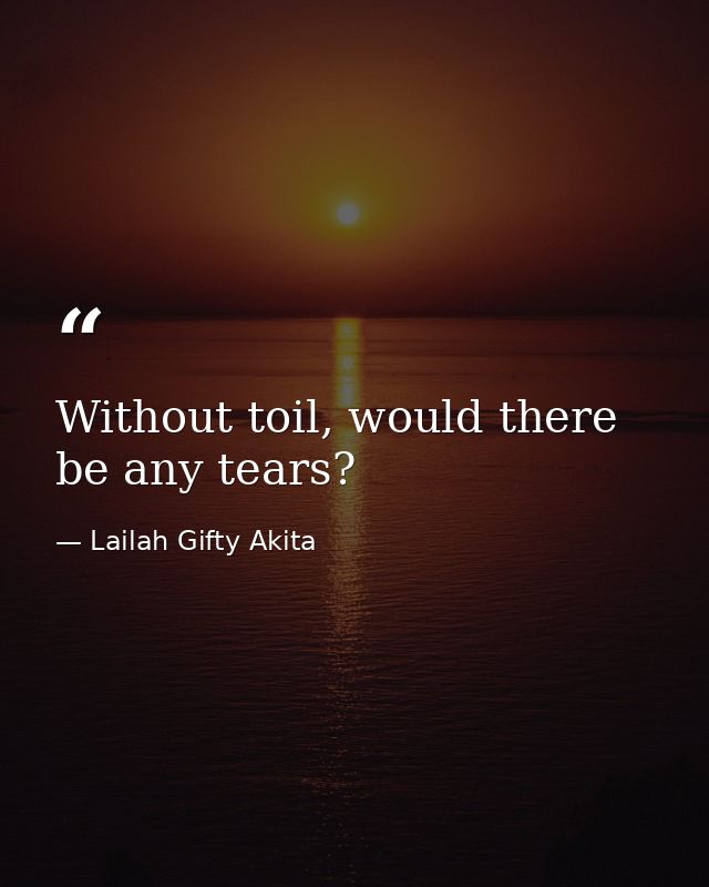 Without toil, would there be any tears? — Lailah Gifty Akita