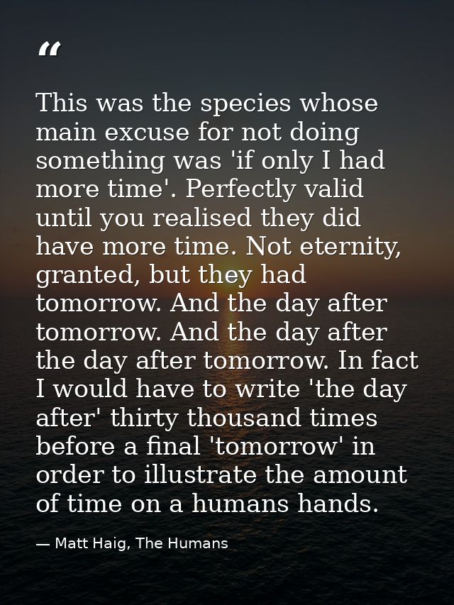 This was the species whose main excuse for not doing something was 'if only I had more time'. Perfectly valid until you  — Matt Haig, The Humans
