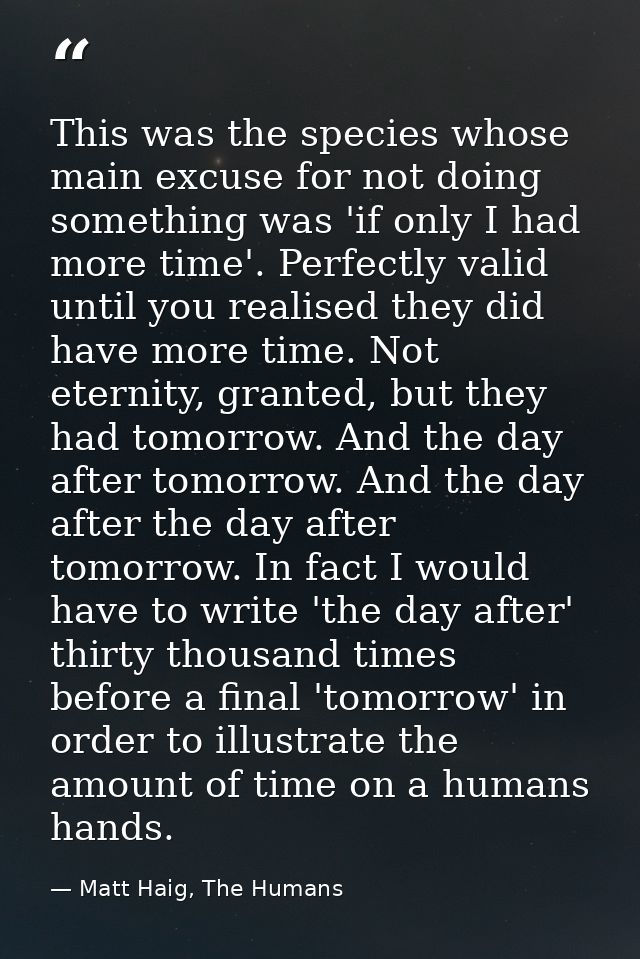 This was the species whose main excuse for not doing something was 'if only I had more time'. Perfectly valid until you  — Matt Haig, The Humans