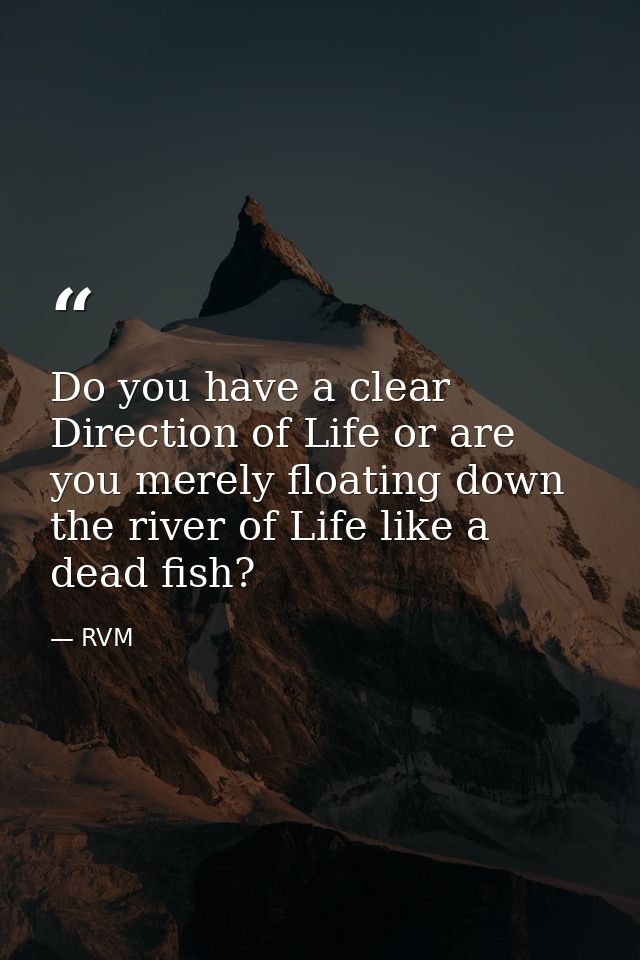 Do you have a clear Direction of Life or are you merely floating down the river of Life like a dead fish? — RVM