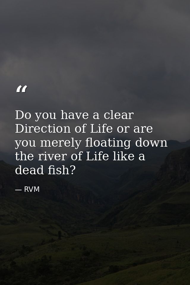Do you have a clear Direction of Life or are you merely floating down the river of Life like a dead fish? — RVM