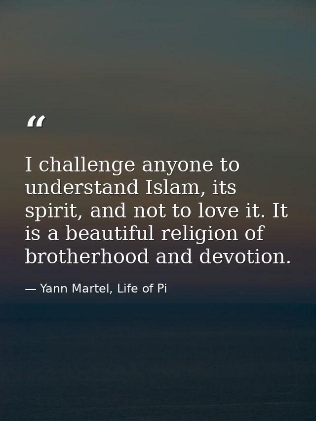 I challenge anyone to understand Islam, its spirit, and not to love it. It is a beautiful religion of brotherhood and de — Yann Martel, Life of Pi