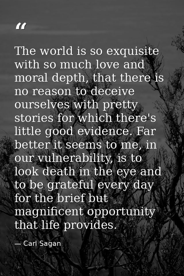 The world is so exquisite with so much love and moral depth, that there is no reason to deceive ourselves with pretty st — Carl Sagan