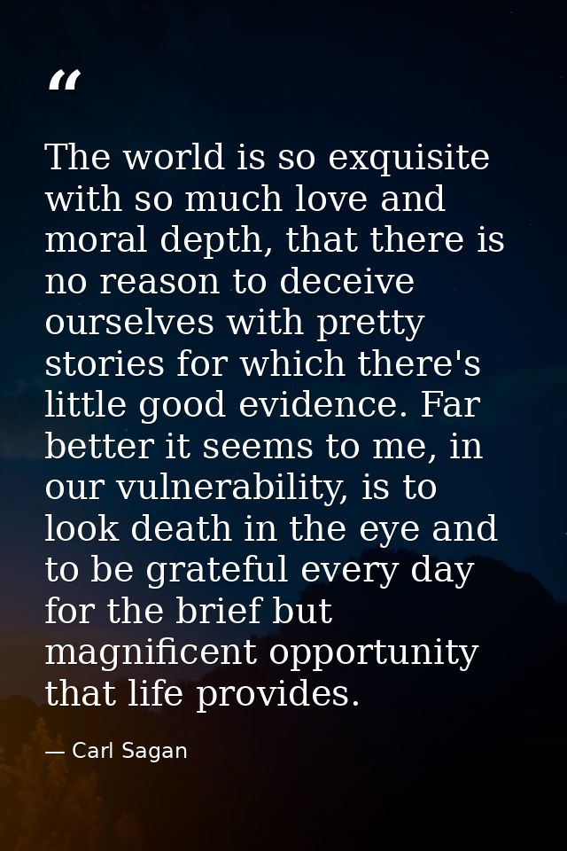 The world is so exquisite with so much love and moral depth, that there is no reason to deceive ourselves with pretty st — Carl Sagan