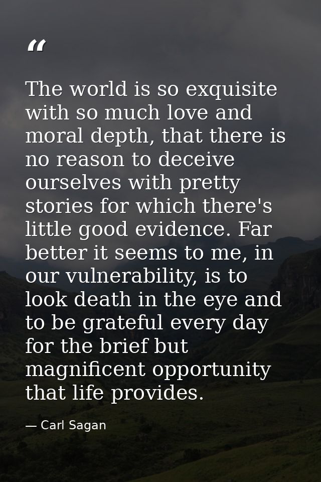 The world is so exquisite with so much love and moral depth, that there is no reason to deceive ourselves with pretty st — Carl Sagan