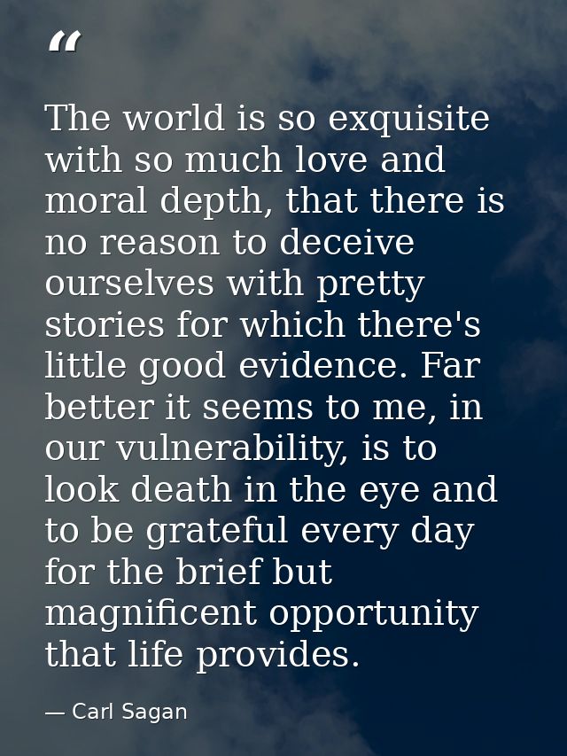 The world is so exquisite with so much love and moral depth, that there is no reason to deceive ourselves with pretty st — Carl Sagan