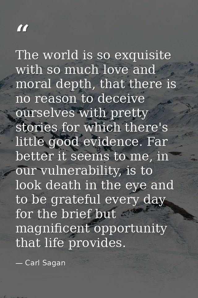 The world is so exquisite with so much love and moral depth, that there is no reason to deceive ourselves with pretty st — Carl Sagan