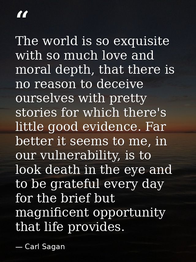 The world is so exquisite with so much love and moral depth, that there is no reason to deceive ourselves with pretty st — Carl Sagan