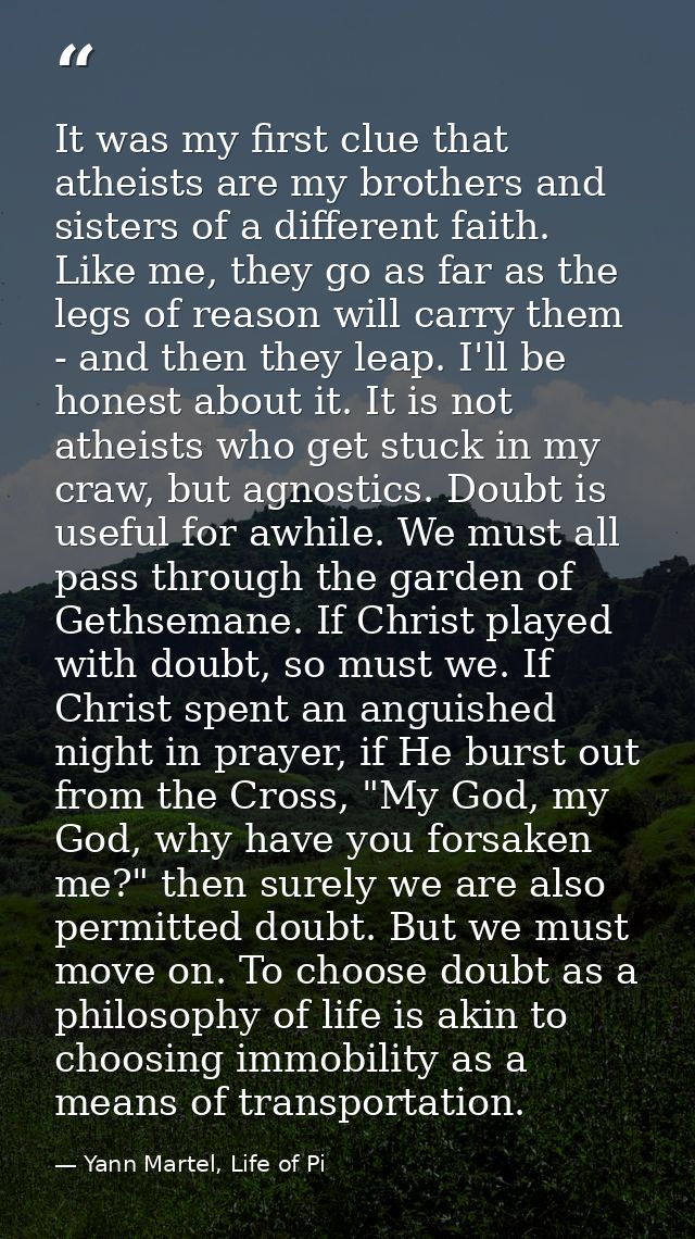 It was my first clue that atheists are my brothers and sisters of a different faith. Like me, they go as far as the legs — Yann Martel, Life of Pi